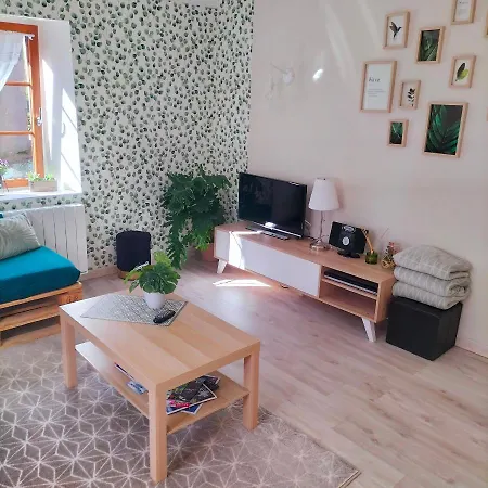 Gite Belle Fleur 6 Personnes- Vosges Saint-Nabord Exterior foto